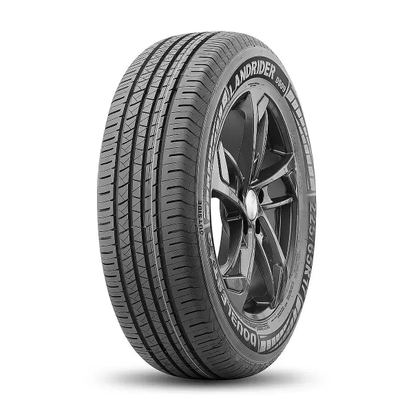 Doublestar DS09 225/65 R17 102H